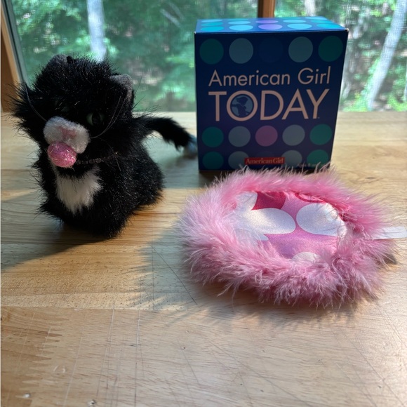 American Girl Other - American Girl LICORICE Cat Bed Toy Box